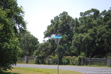 9584 Majestic Oak Cir, San Antonio, TX 78255 - photo 6