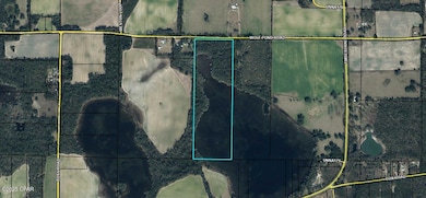 TBD Wolf Pond Rd, Bascom, FL 32423 - photo 2