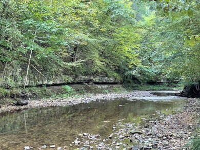 1971 Short Creek Rd, Linden, TN 37096 - photo 2