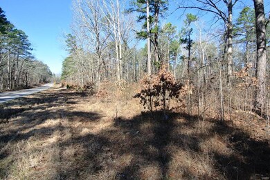 0 Pp Hwy unit 3 19028457, Poplar Bluff, MO 63901 - photo 3