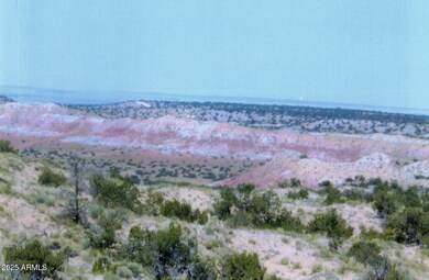 000 N6315 unit 115, Saint Johns, AZ 85936 - photo 2