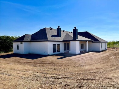 113 Tobiano Trace, Brock, TX 76087 - photo 4