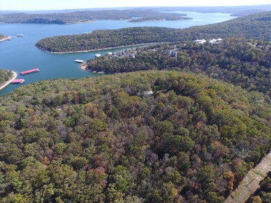 Drone View