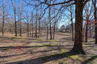 2710 Highway 358, Paragould, AR 72450 - photo 5