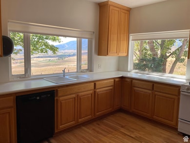 Kitchen with black dishwasher, light countertops, light wood-style floors, brown cabinets, and white range with electric cooktop