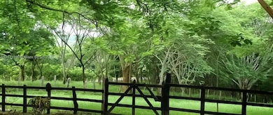 SAN JUAN GRANDE La Cascabela, Evanston, IL 60202 - photo 3