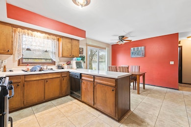 391 Cornell Ln, Elgin, IL 60123 - photo 3