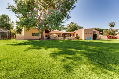 Large open backyard