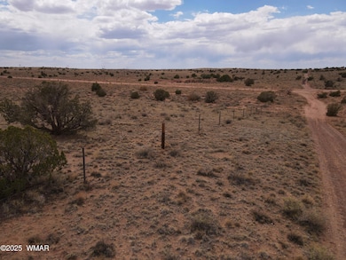 dji_fly_20250728_135638_860_175373621213