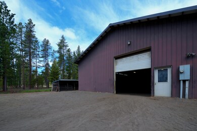 Arena from paddock