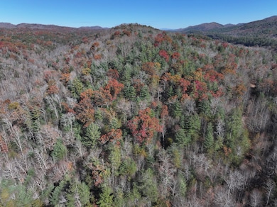 Tbd Cherry Log, Cherry Log, GA 30522 - photo 2