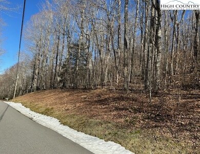 6 Meadow Ave, Banner Elk, NC 28604 - photo 5