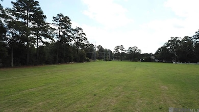 22835 La Hwy 16, Denham Springs, LA 70726 - photo 6