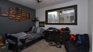 PICS-4