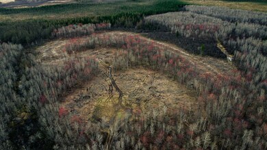 120 Acres Wisconsin 86, Tomahawk, WI 54487 - photo 7