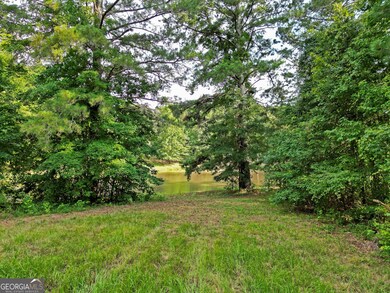 0 Mask and Lynch Rd unit 10611467, Brooks, GA 30205 - photo 6