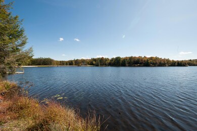 128 Lake In the Clouds Rd, Canadensis, PA 18325 - photo 5