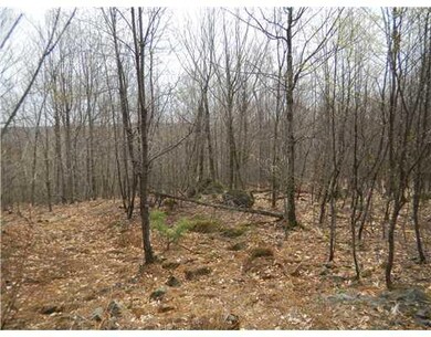 Land. Rear portion of lot