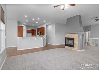 4594 E 139th Ave, Thornton, CO 80602 - photo 6