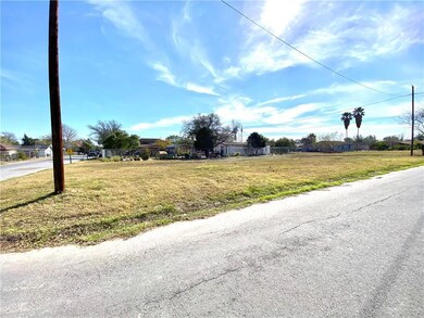 423 Maple St, Donna, TX 78537 - photo 5