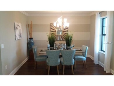 14309 Italia Dr, Wimauma, FL 33598 - photo 3