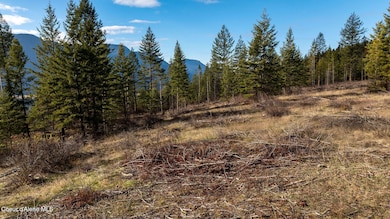 773 Cougar Loop, Clark Fork, ID 83811 - photo 7