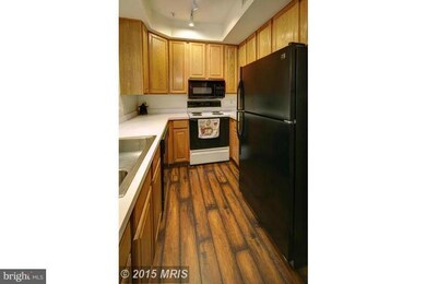 1318 Garden Wall Cir unit 213, Reston, VA 20194 - photo 4