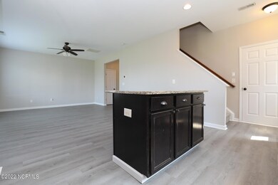 426 Bald Cypress-35