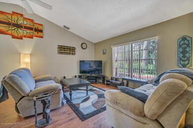 4010 Treetop Cir Spring Hill-large-005-3