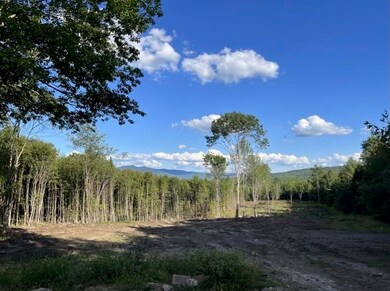 393 Faraway Rd, Dalton, NH 03598 - photo 4