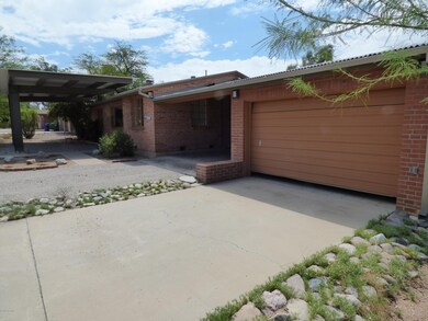 Front yard looking East, Shade + space