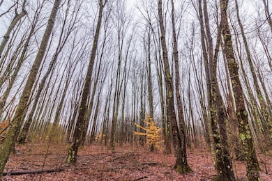 0 Yuma Dr unit 1830307, Franklin Township, OH 45171 - photo 7