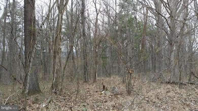 0 Shangri-La Rd unit 1000196351, Bentonville, VA 22610 - photo 7