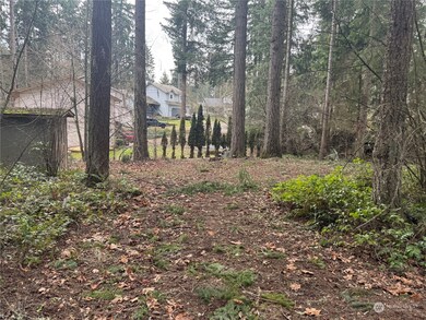 18145 Stony Ct SE, Yelm, WA 98597 - photo 7