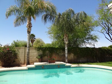 BEST POOL