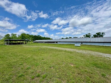 131 Co Rd 1777, Cullman, AL 35057 - photo 5