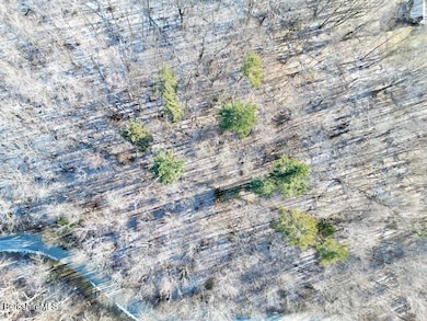 Lot 19-I W Center Rd, Otis, MA 01253 - photo 3