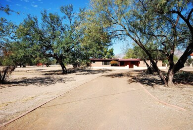 Drive way, at entrance