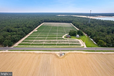 4225 Mays Landing Rd, Vineland, NJ 08361 - photo 2