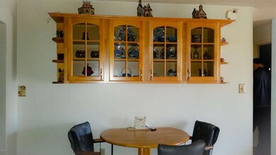 kitchen cabinet