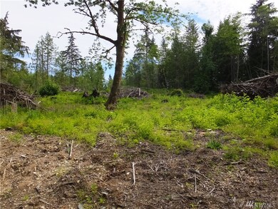 28TH 28th Ave NW, Stanwood, WA 98292 - photo 6