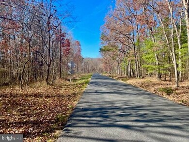 0 Egypt Bend Rd unit VAPA2002970, Luray, VA 22835 - photo 4