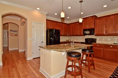 2505 Sapphire Greens Ln, Sun City Center, FL 33573 - photo 7