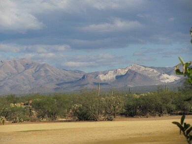 View of the Mountains from Back Porch
