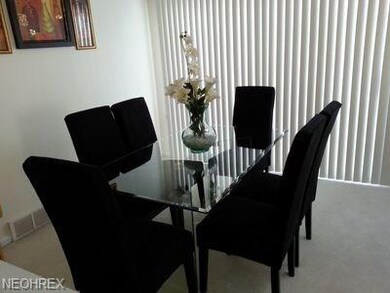 23120 Wainwright Terrace, Olmsted Falls, OH 44138 - photo 7