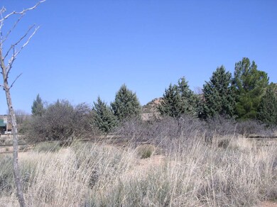 P1010374