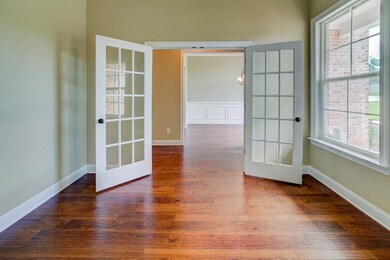 Study Additional View