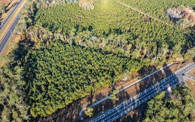 0 Tbd Cr 137, Wellborn, FL 32094 - photo 6