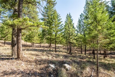 Lot 9 Stonefly Rd, Clinton, MT 59825 - photo 5