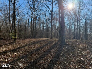 8951 County Rd 11, Florence, AL 35633 - photo 6